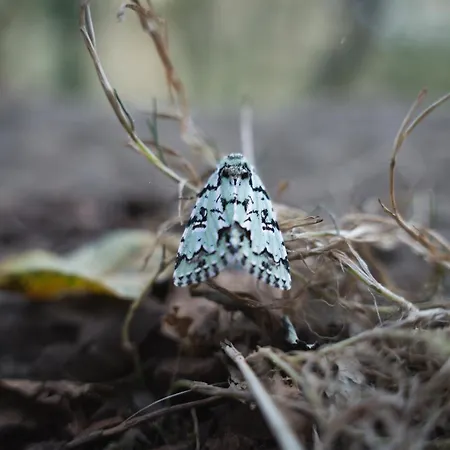 Casa Por Do Sol Overlooking Lima Vakantiehuis *