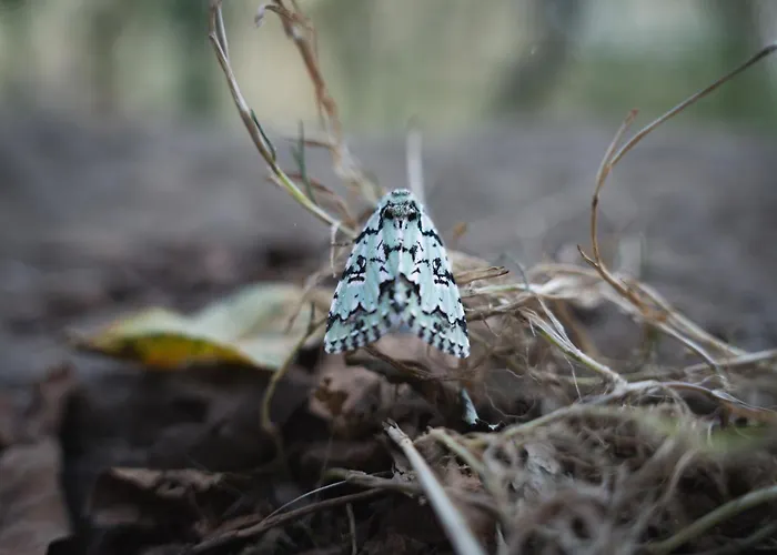 Casa Por Do Sol Overlooking Lima Σπίτι διακοπών *